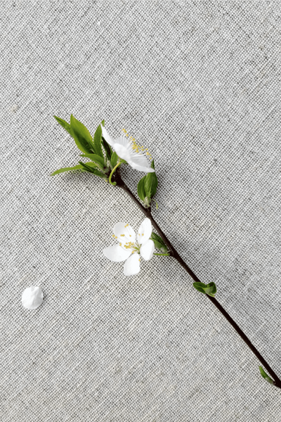 NATURAL cotton-hemp fabric - PLAIN weave (1 m)