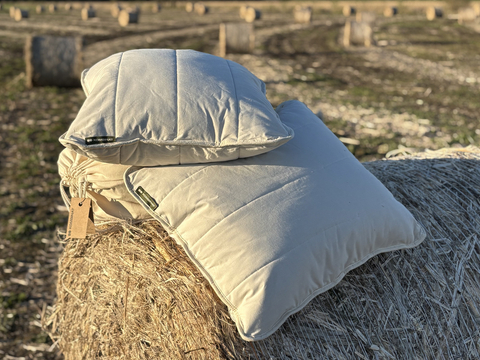 PREMIUM hemp pillow 50x60 cm